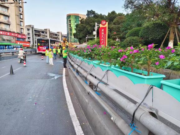 花映兩橋·綠滿(mǎn)酒城—興綠園林公司實(shí)施沱江一橋、連心橋景觀(guān)升級(jí)工程   